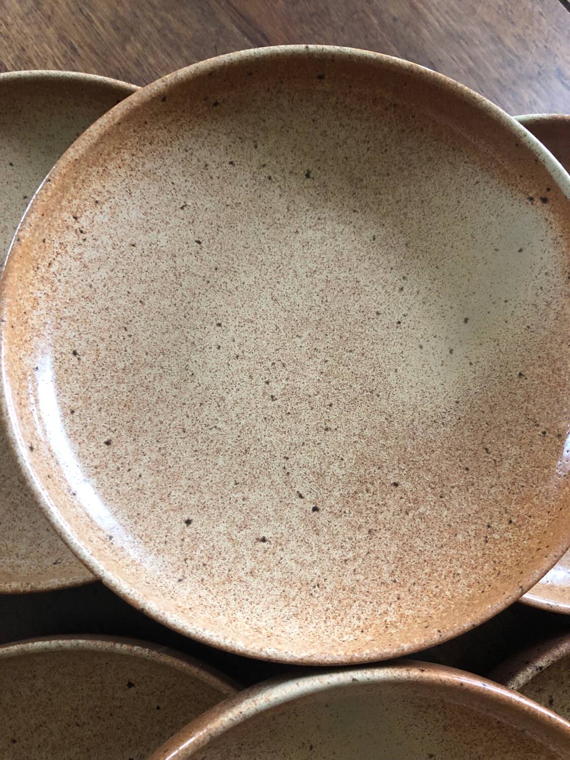 Rigny stoneware dessert or appetizer plates