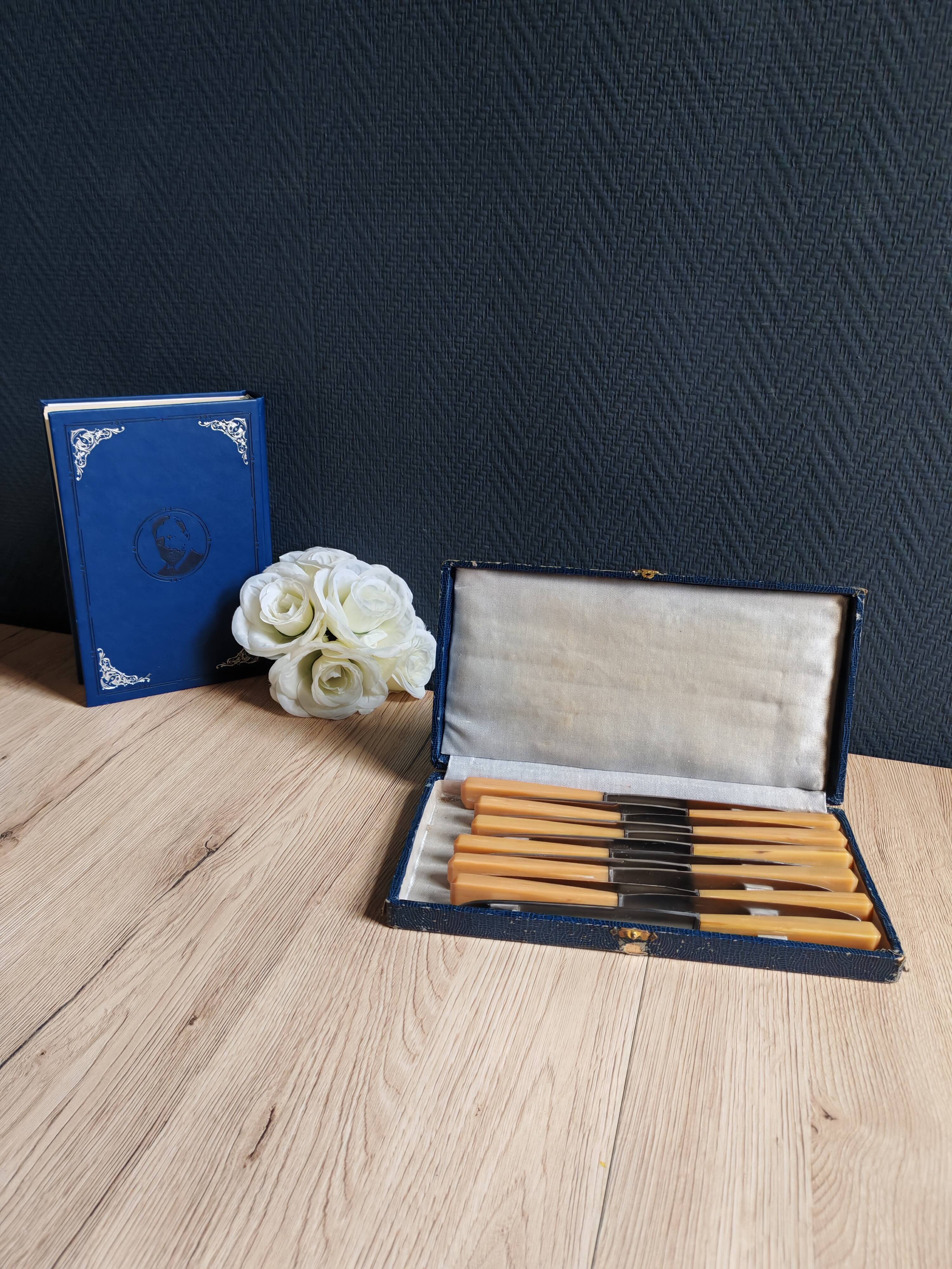 Coffret 12 couteaux de table vintage | Manches bakélite ivoire