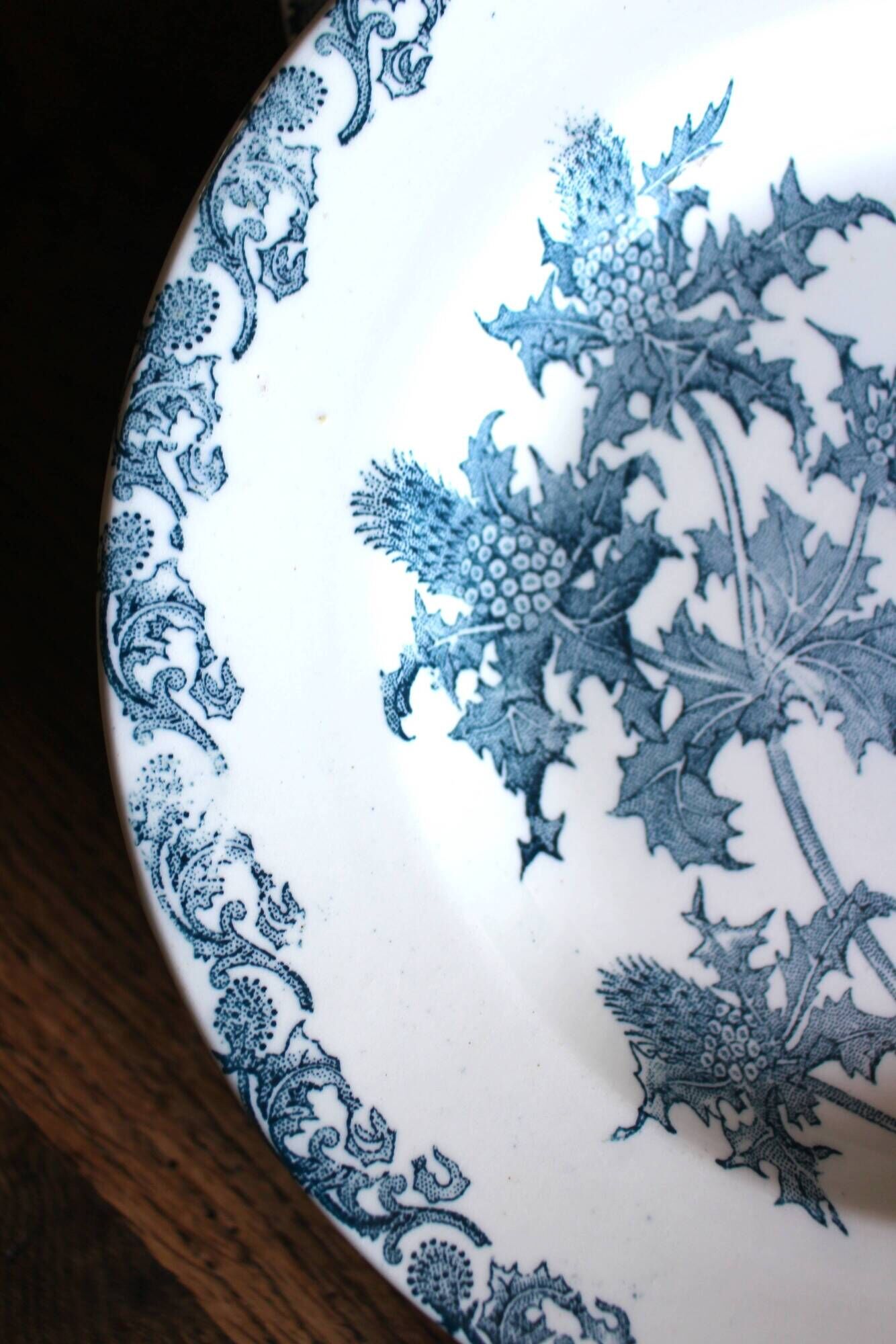 A set of 5 deep plates Chardon Bleu Terre de Fer Clairefontaine Righi