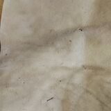 Goat skin
