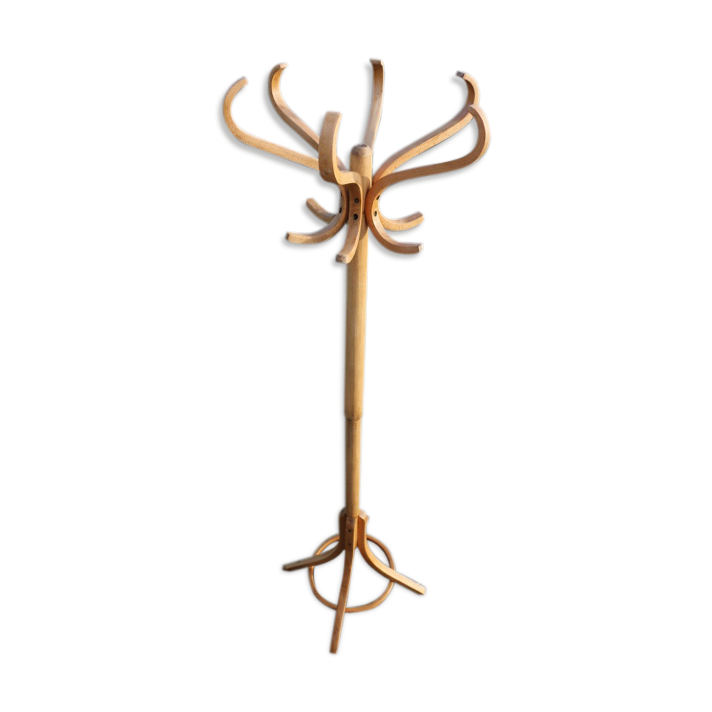 Parrot Baumann coat rack simple clear beech