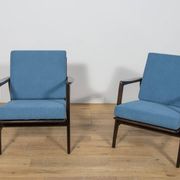 Model 300-139 Mid Century Modern Armchairs from Swarzędz Factory, Poland.