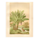 Antique engraving from 1889 - Banana tree - Vintage botanical lithograph