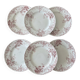 Set of 6 antique red Terre de Fer plates St Amand Hamage model