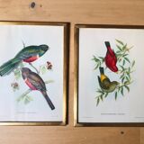 Set of 2 ornithological lithographs