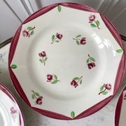 Set of 5 flat plates digoin sarreguemines model aigues-vives hand painted years 30-40