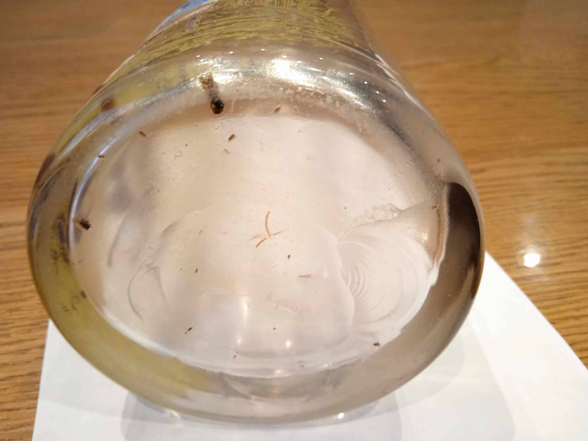 Enamelled cider depot decanter