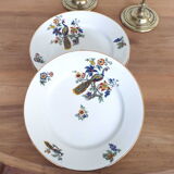6 flat porcelain plates peacock