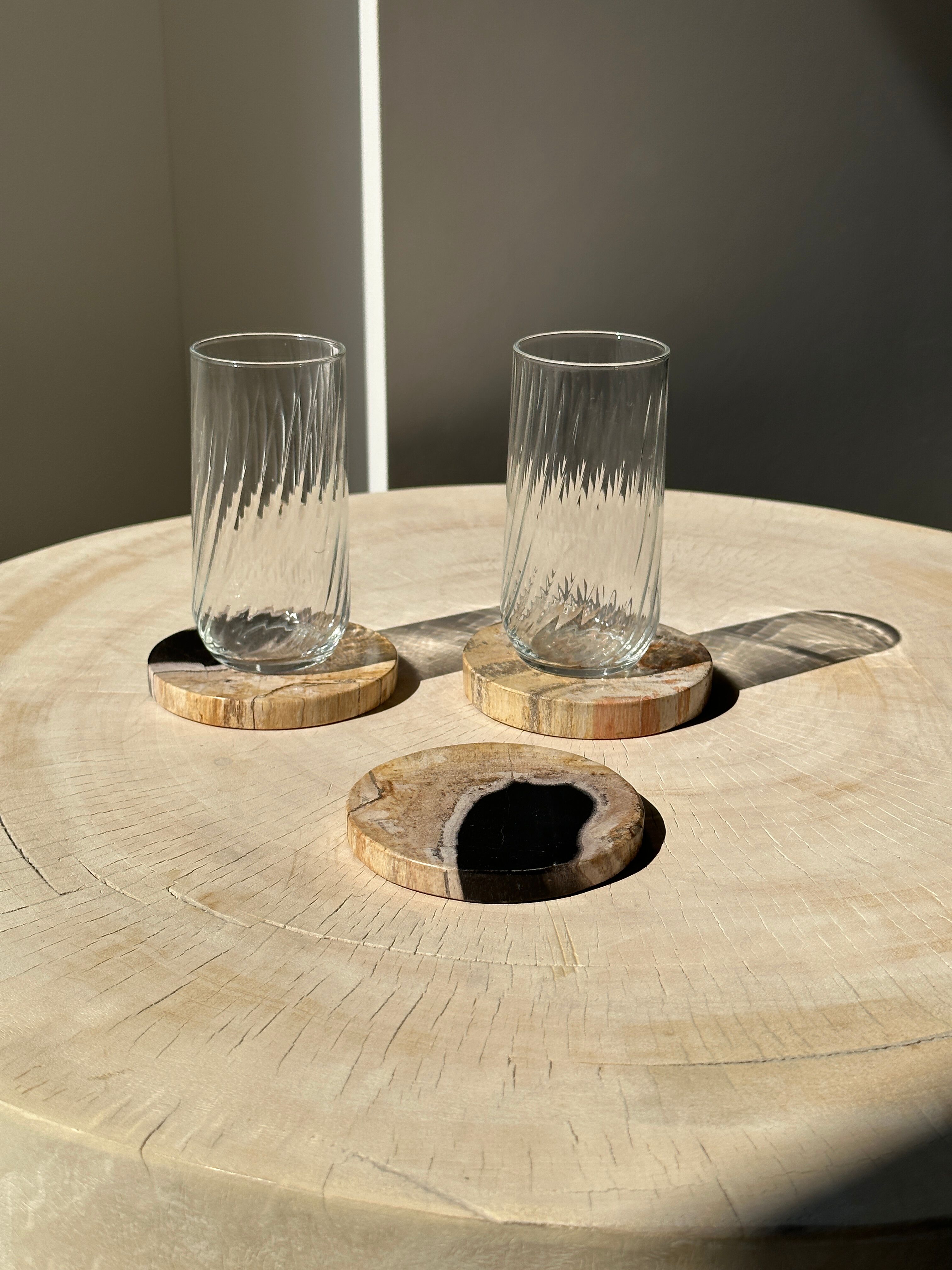 Set of 3 fossilized wooden coasters (clear)