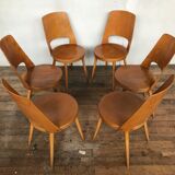 Series of 6 Baumann Mondor chairs