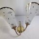 Tulip wall lamp 50s, Vintage, glass and brass