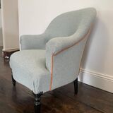 Small aquamarine toad