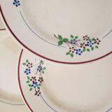 Dessert plates x10 - Moulin des Loups - Orchies