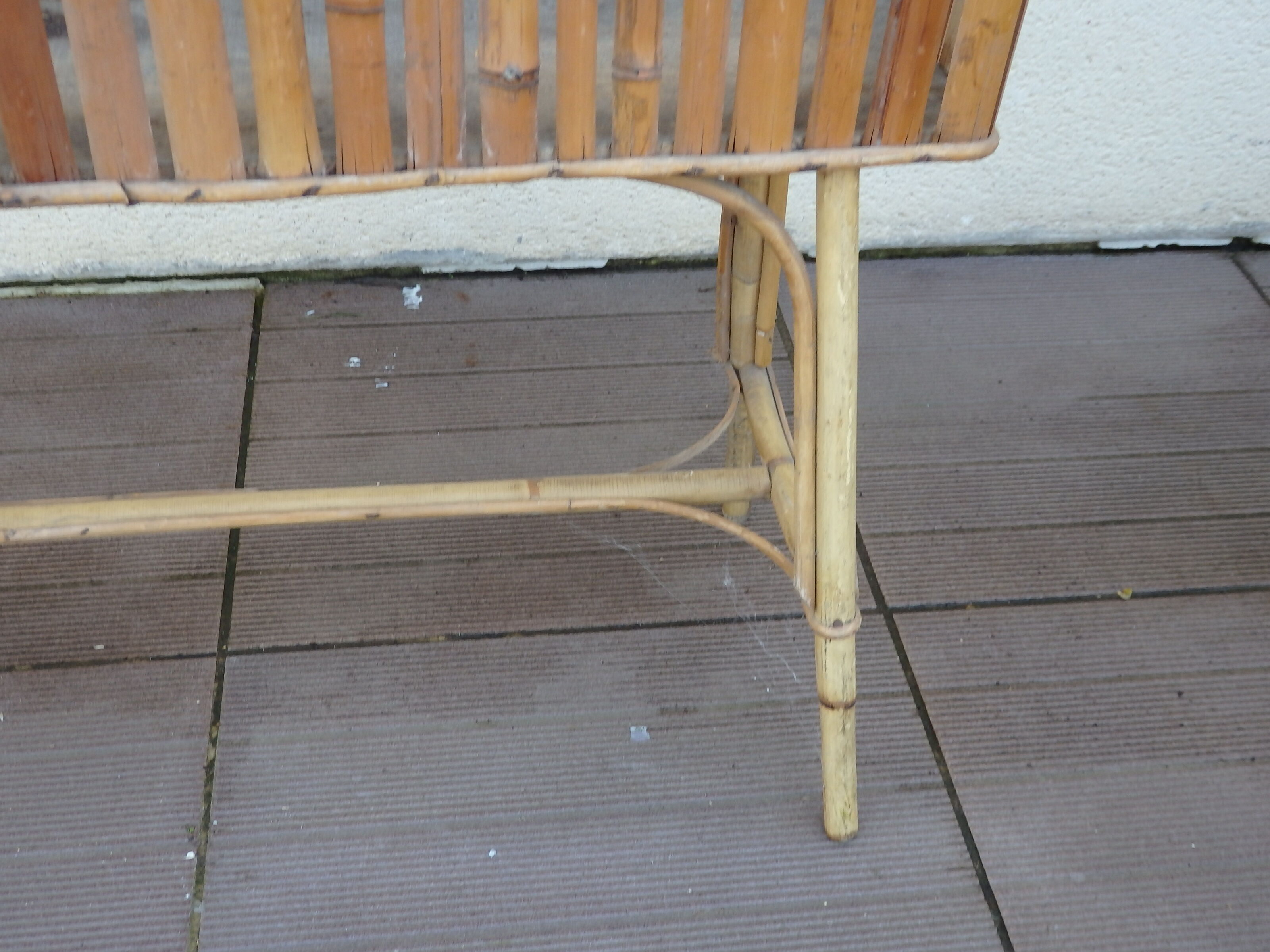 Vintage rot root plant door