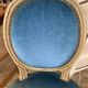 Paire de chaises médaillon en velours
