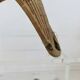 Old chistera, large glove, 62cm, Basque Country, cesta punta, jai alai