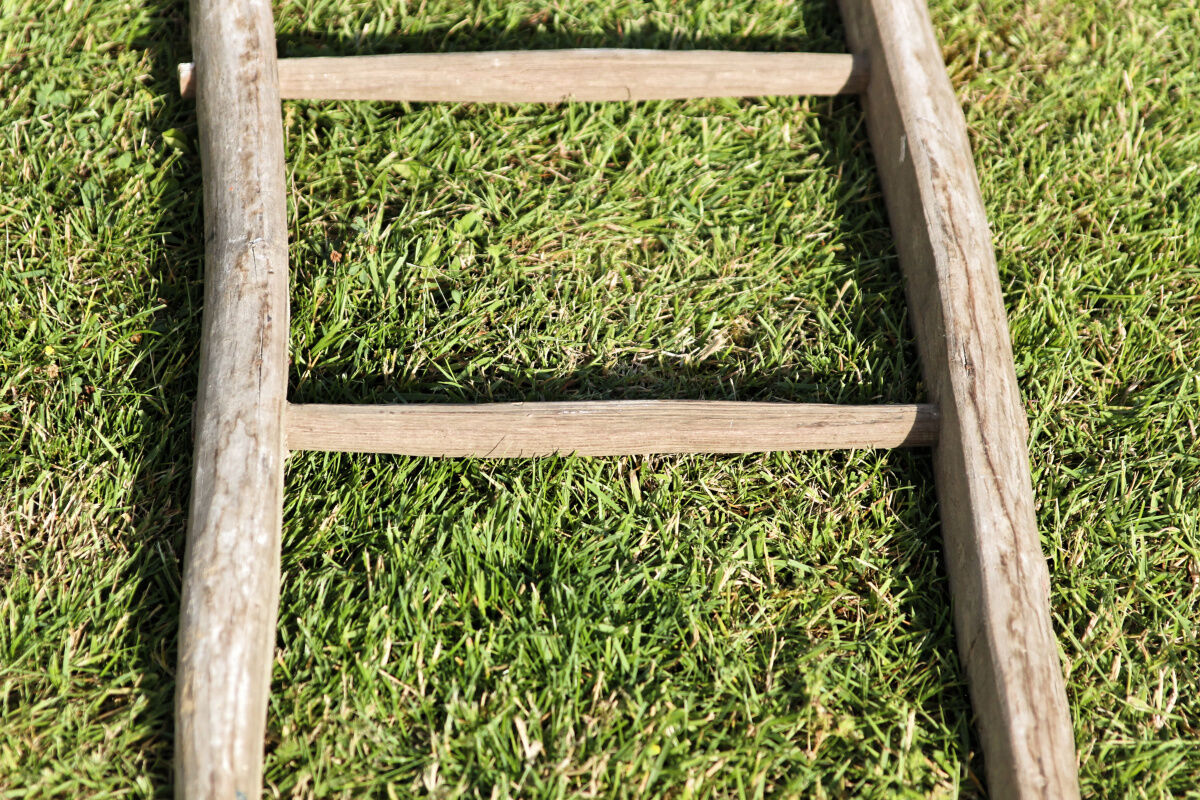 Wooden farm ladder
