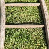 Wooden farm ladder