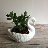 Swan pot cache