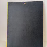 Zoological plate by François Martinet