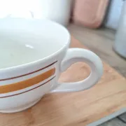 Saucière Gien marron et orange modèle Ladon