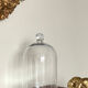 Antique cloche and its tray