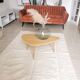Berber carpet Béni Ouarain plain white with inlaid line patterns