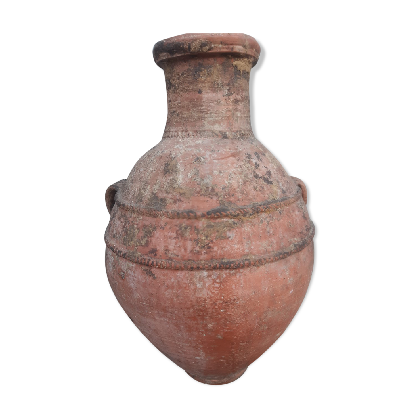 Olive jar of the eighteenth century old terracotta pot deco glazed olive tree