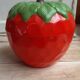 Vintage Tomato Ice Cube Tray Ice Bucket