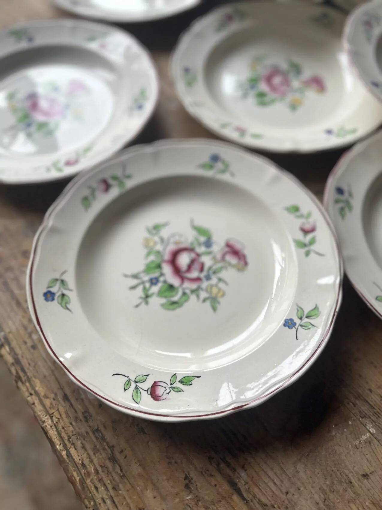 Set of 10 Villeroy & Boch deep plates – bucolic design 24.5 cm