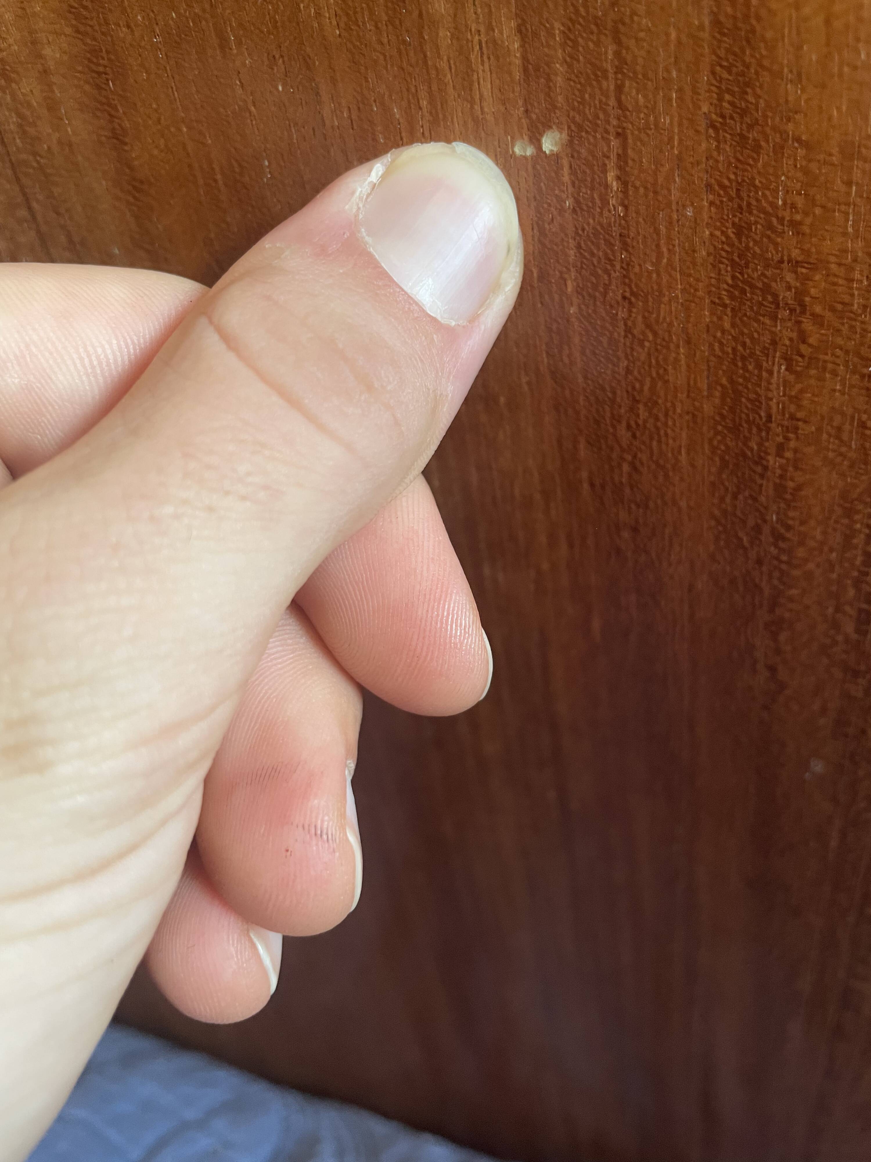 Table à manger extensible scandinave