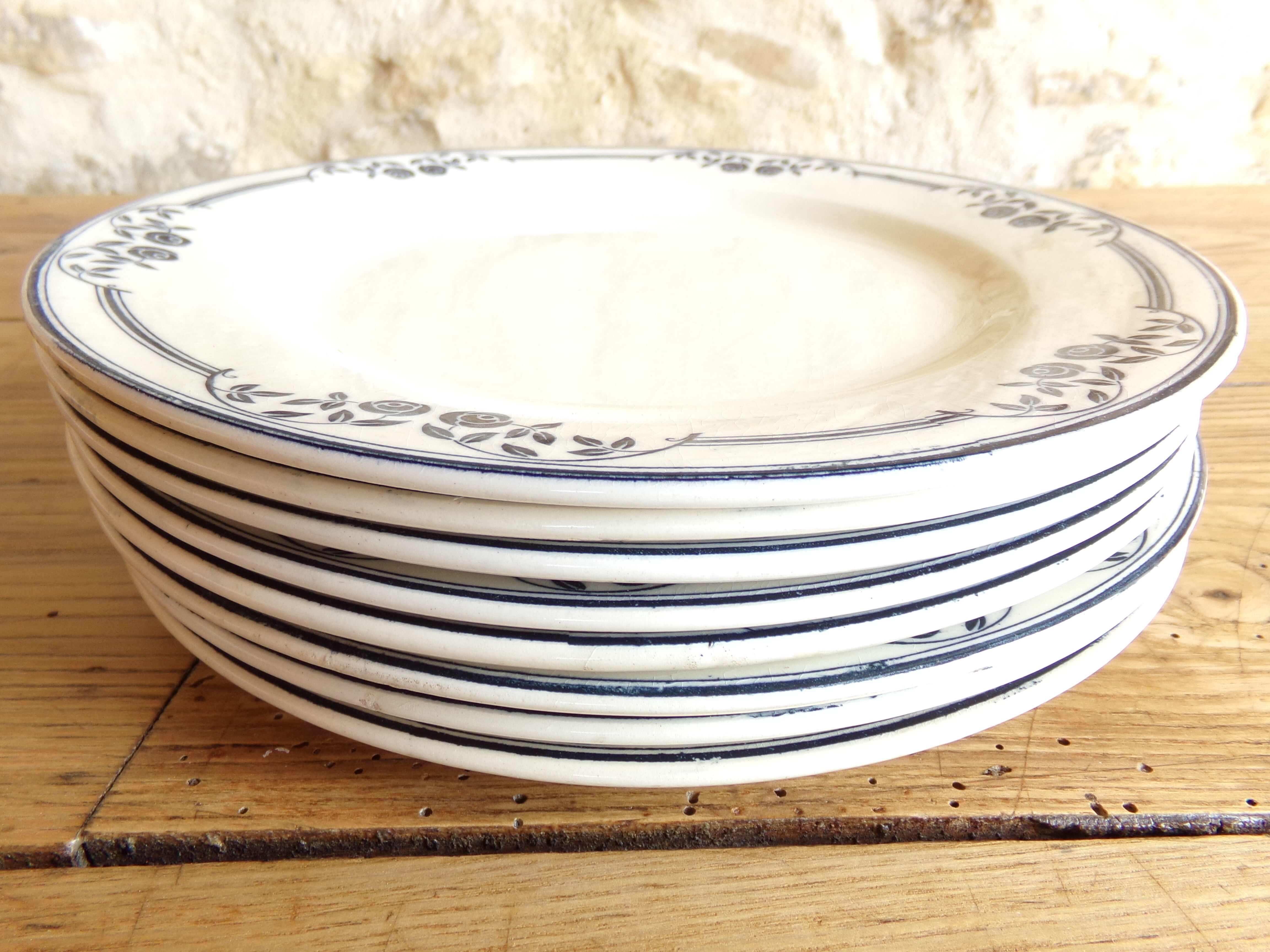 8 flat plates Salins model Saussure A.B - Iron Earth