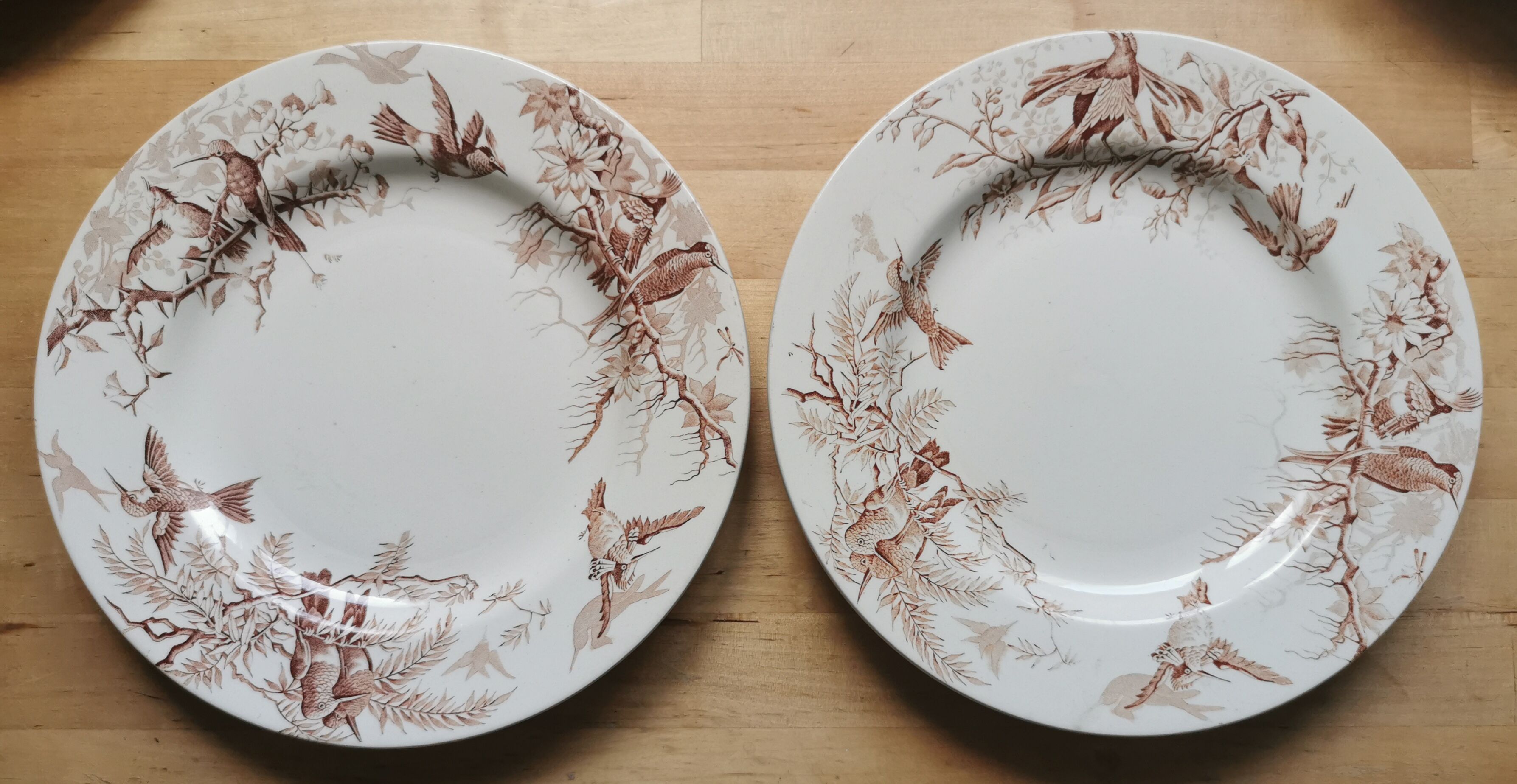 Lot of 8 Colibri luneville plates