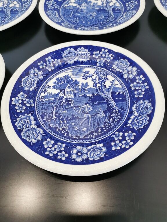 Set of 6 talking plates Villeroy&Boch Rusticana Bleues