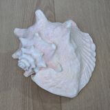 Heavy Marine Shell "Lambi" (Strombus Gigas) - Pink Interior - 1.37 kg