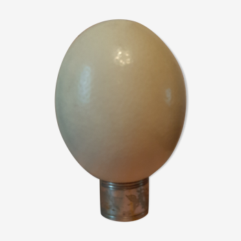 Ostrich egg on its holder