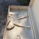 Antique travel trunk