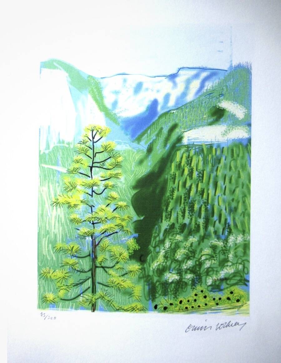 Lithographie de David Hockney signée et numérotée