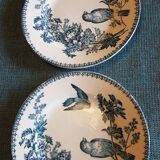 Suite of 4 plates in earthenware with bird décor