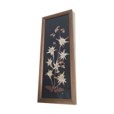 Mountain Herbier Edelweiss