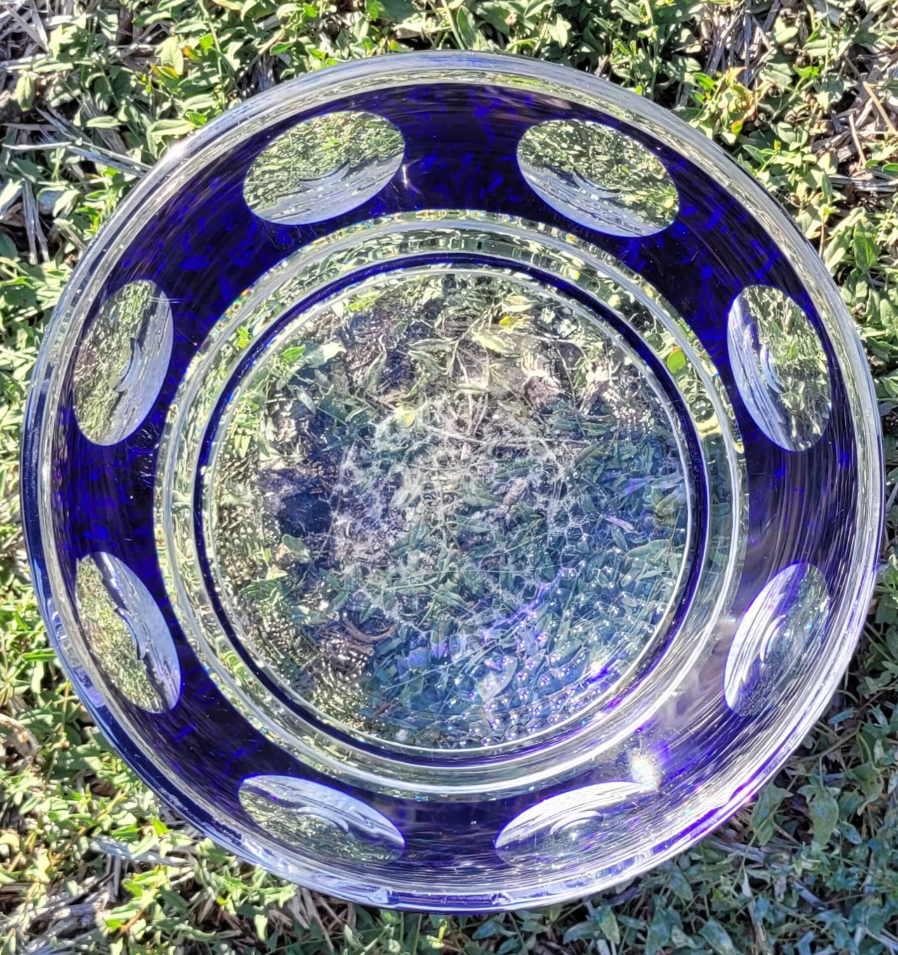 cobalt blue glass bowl with round lenses