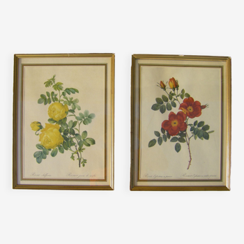 Deux gravures "a décor de roses"