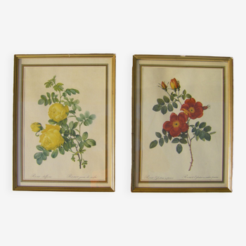 Two engravings "decorated with roses"