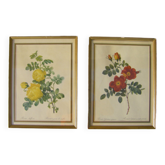 Two engravings "decorated with roses"