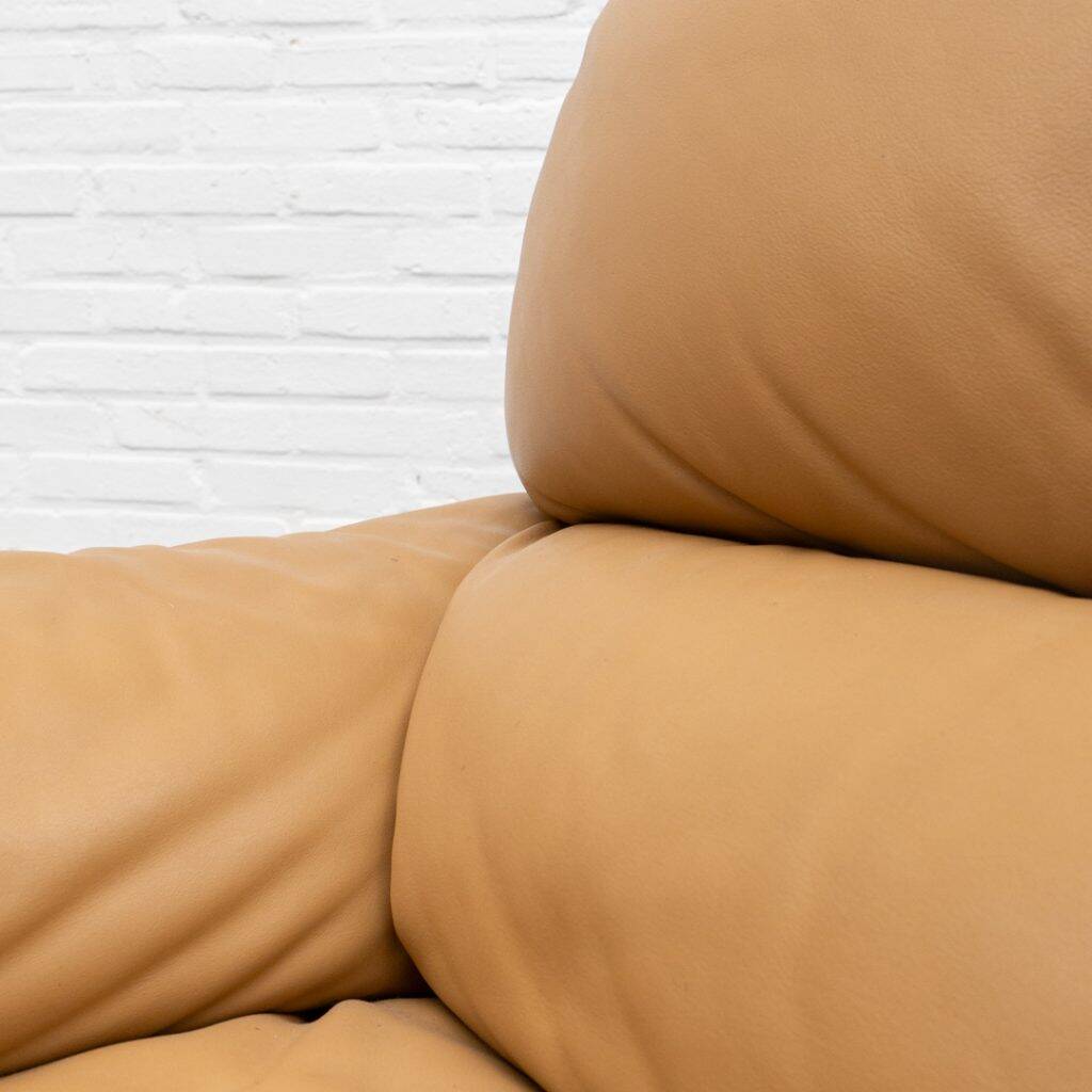 Queening Armchair by Giovanni Ofredi for Saporiti