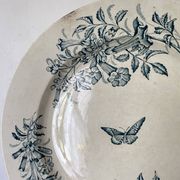 Plat rond terre de fer Badonviller "Jasmin" papillon