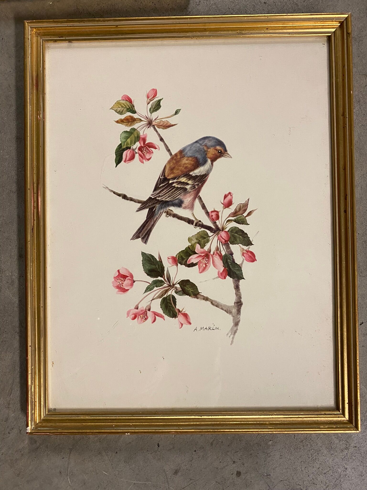 Bird paintings