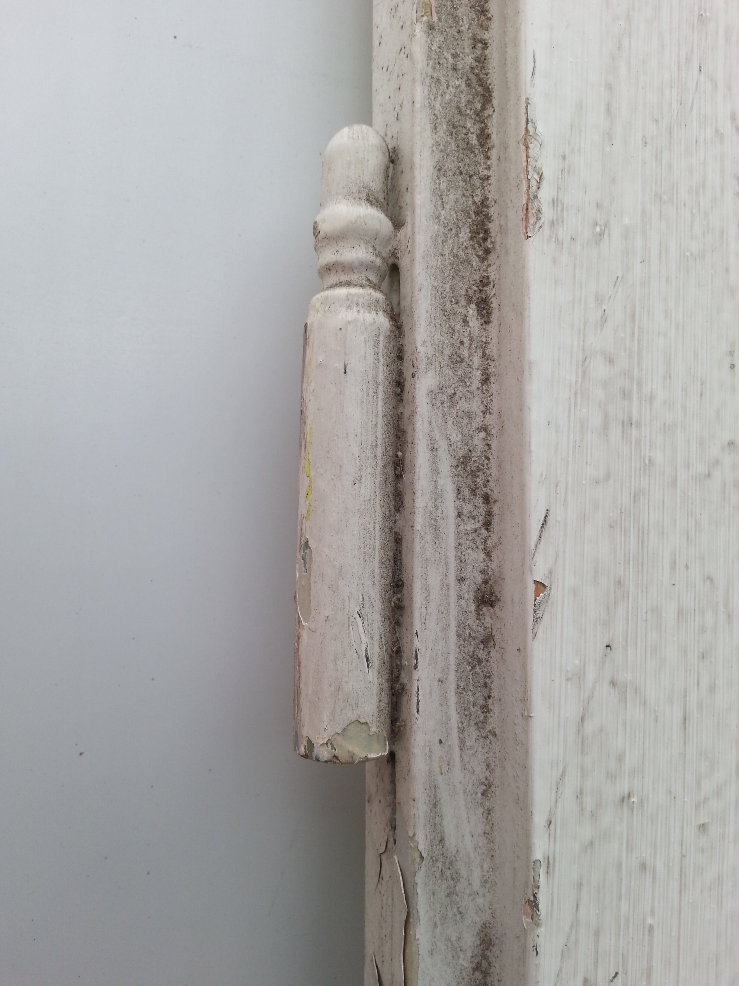 Pair of old beautiful white patina separation doors