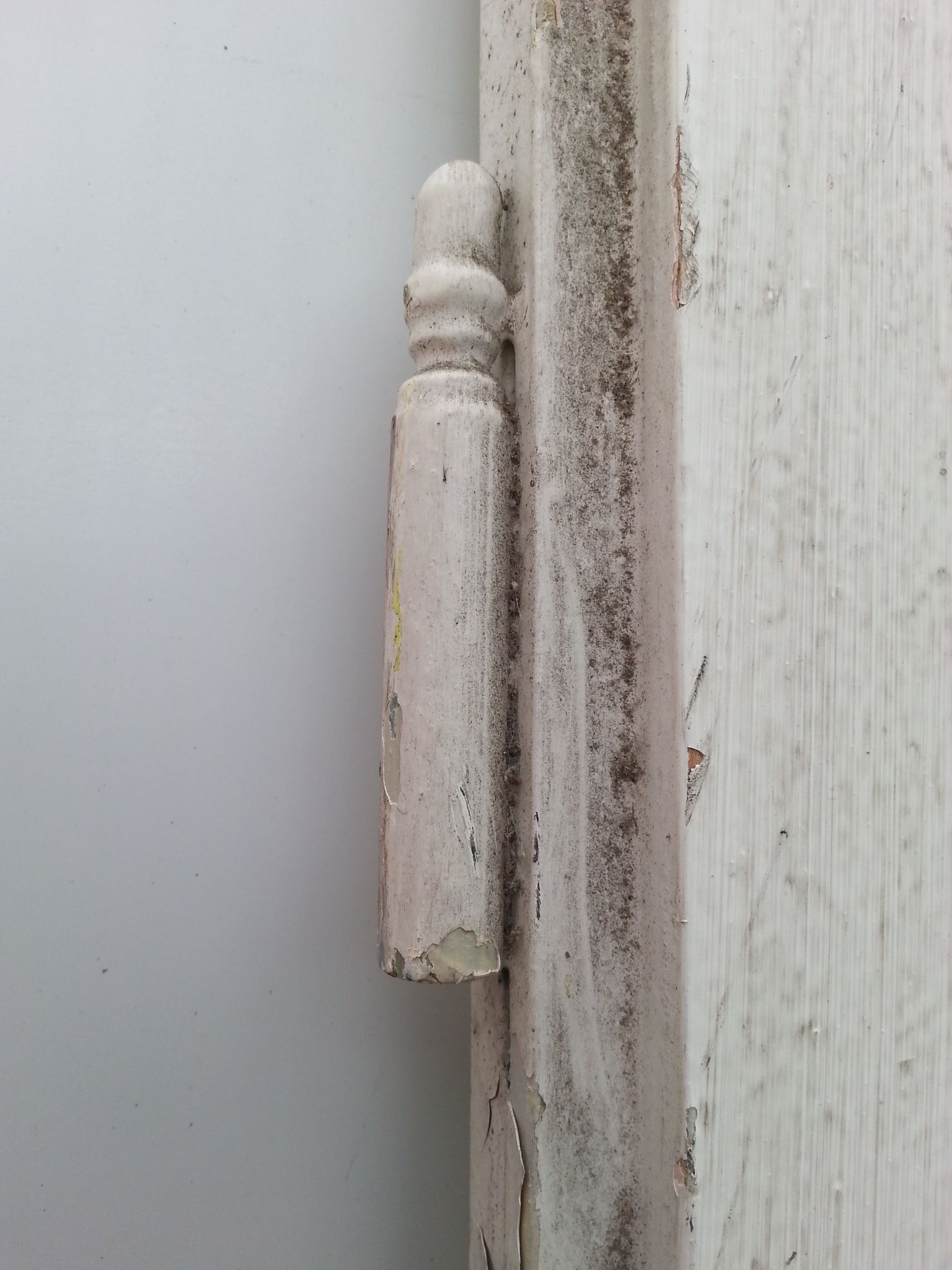 Pair of old beautiful white patina separation doors