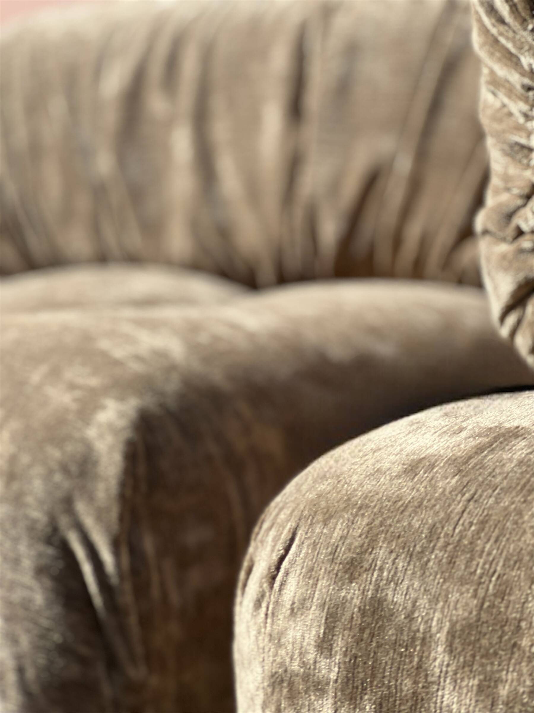 Canapé camaléonda en velours ras par Bellini pour B&B italia, design 1970